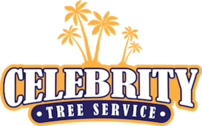 Celebrity Tree Service